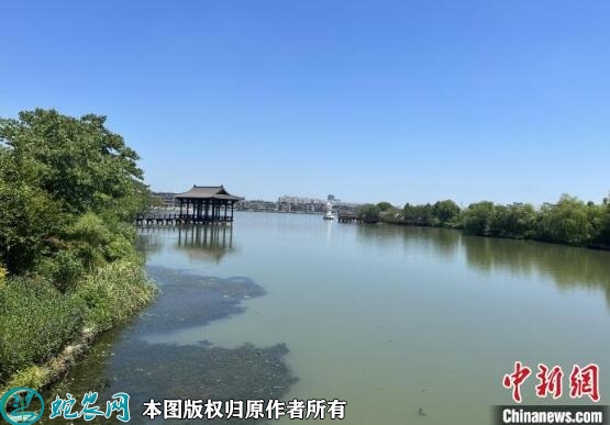 杭州塘栖:千年古镇有何“新气质”?