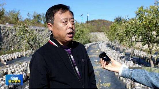 密云搭建产销平台促进农旅结合