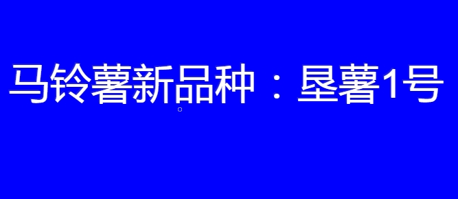 马铃薯新品种:垦薯1号简介
