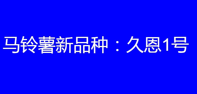 马铃薯新品种:久恩1号简介