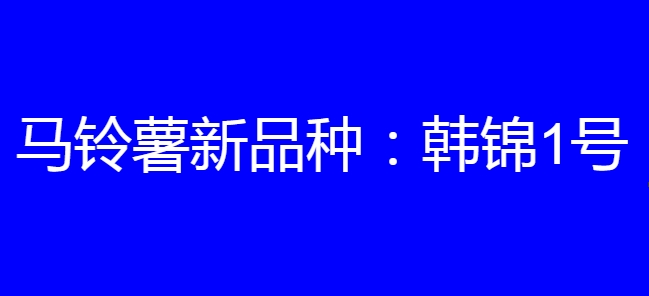 马铃薯新品种:韩锦1号简介