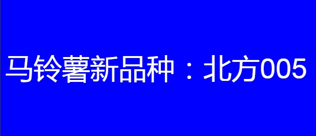 马铃薯新品种:北方005简介