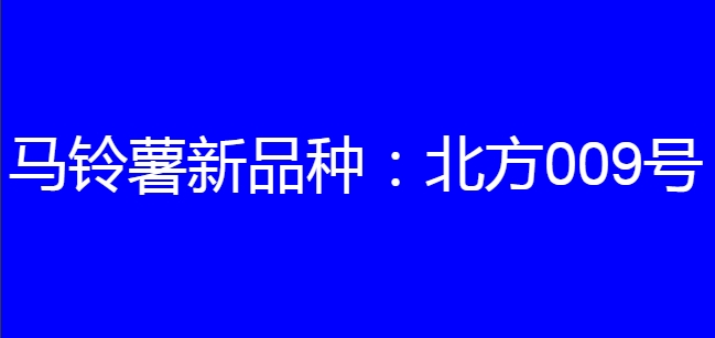 马铃薯新品种:北方009号简介