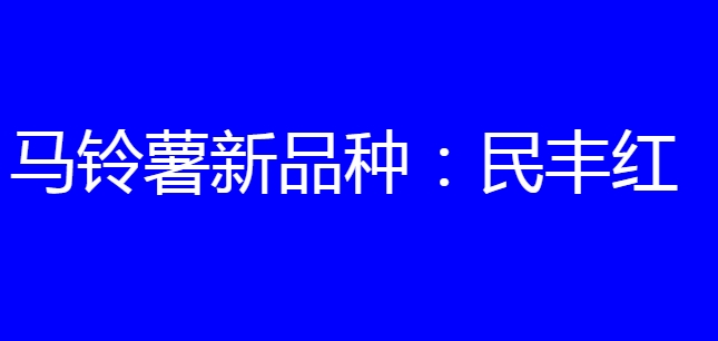 马铃薯新品种:民丰红简介