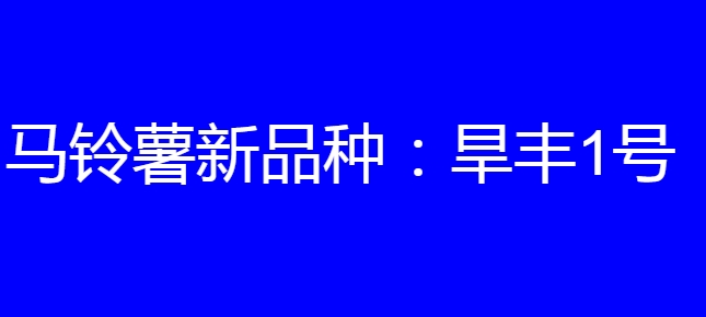 马铃薯新品种:旱丰1号简介