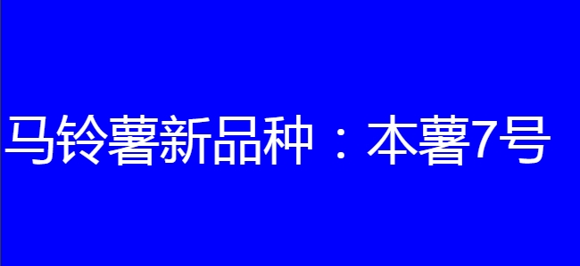 马铃薯新品种:本薯7号简介