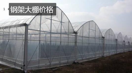 钢架大棚价格图1