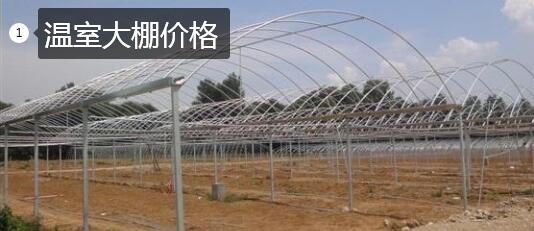 温室大棚价格图1