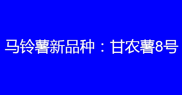马铃薯新品种:甘农薯8号简介