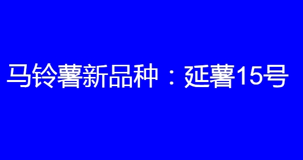 马铃薯新品种:延薯15号简介