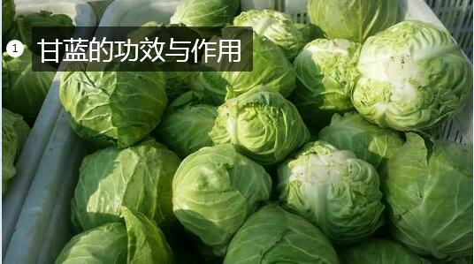 甘蓝的功效与作用图1