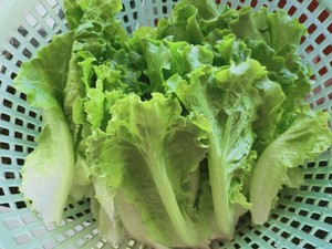 蚝油炒生菜的做法步骤图1