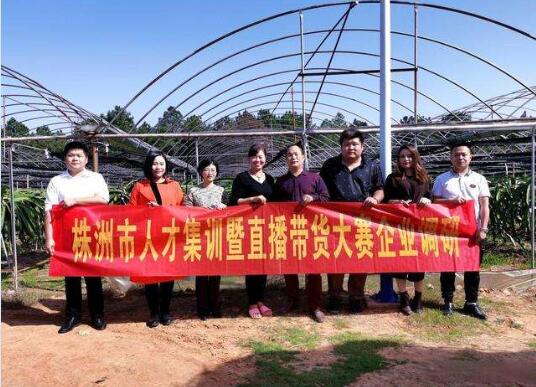 湖南株洲市:开设标杆企业游学、农产品直播带货等特训项目