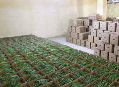 一种秋季贮辣椒冬季上市辣椒贮藏技术流程