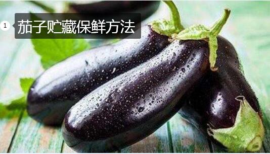 茄子怎么储藏不烂?茄子贮藏保鲜要注意的主要问题?
