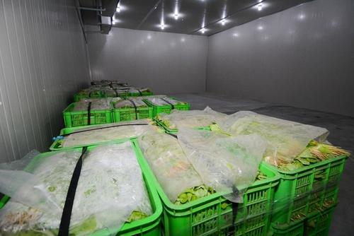 一种蔬菜采后处理与贮藏保鲜技术流程!