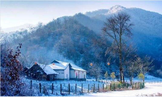 小雪节气禁忌有哪些图1