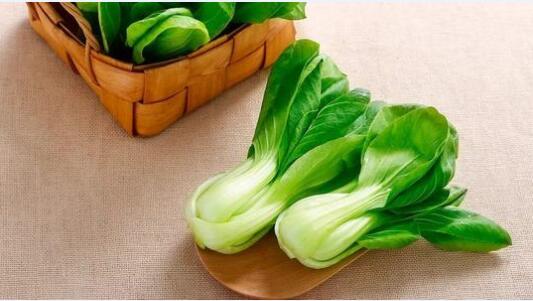 2020年11月24日青菜价格行情、今日各种青菜多少钱一斤?
