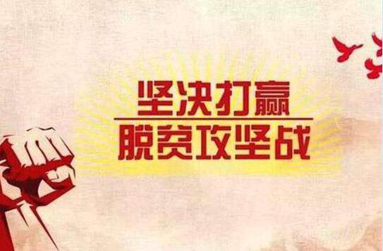 柯城区多举措助力脱贫攻坚收官战