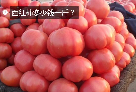 西红柿多少钱一斤？