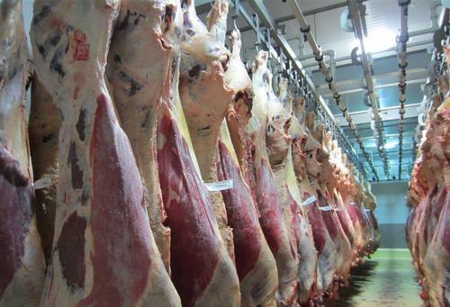 2020年12月13日四分体牛肉价格行情、今日四分体牛肉多少钱一斤?