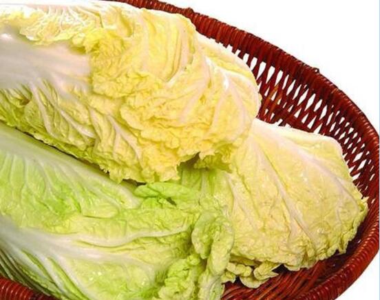 2020年12月24日黄心白菜价格行情、今日黄心大白菜多少钱一斤？