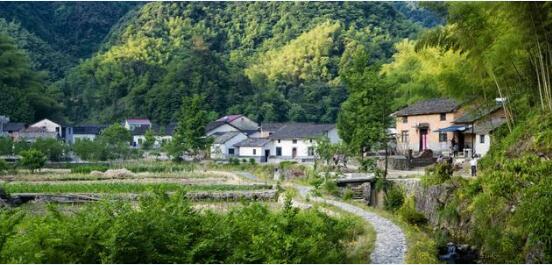 安徽青阳宋冲村全部脱贫了!通过培植“一村一品”发展蚕桑养殖种植!
