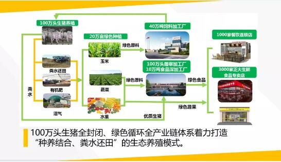 上海首张“生猪养殖”绿色食品证书含金量在哪里?
