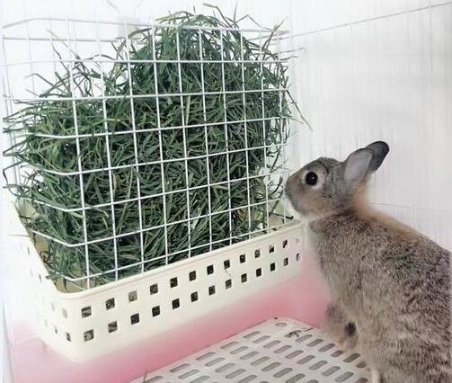 兔子养殖设备图5
