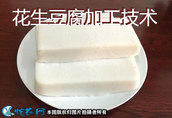 花生豆腐加工技术