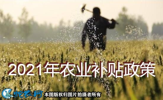 2021年农业补贴政策图