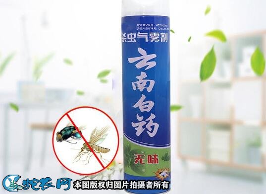 如何灭蚂蚁图3