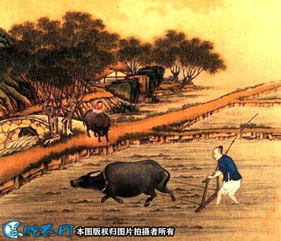 立春习俗图2