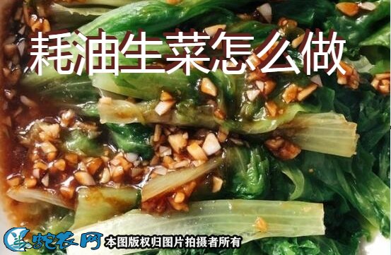 耗油生菜怎么做
