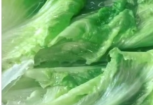 耗油生菜做法步骤图3