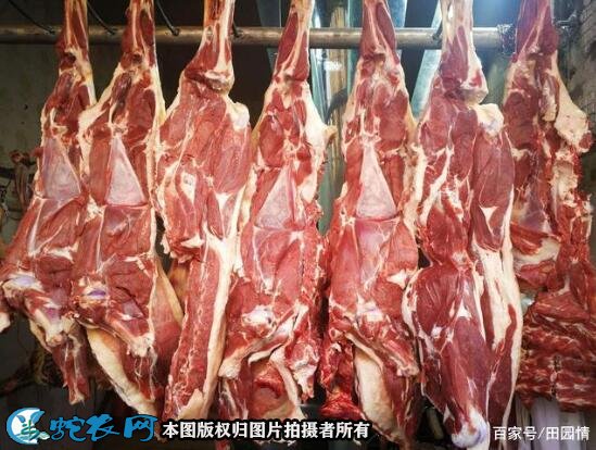 2021年2月1日农批价格指数下降0.30%、羊肉75.90元/公斤