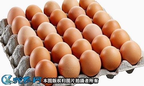 2021年2月2日农批价格指数下降0.39%、鸡蛋9.05元/公斤