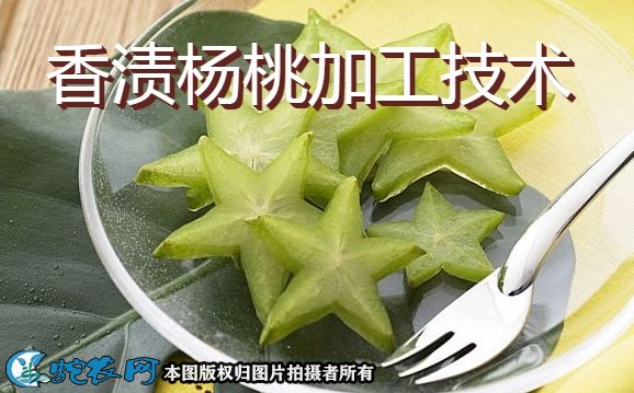 香渍杨桃加工技术