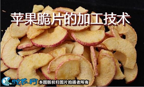苹果脆片的加工技术
