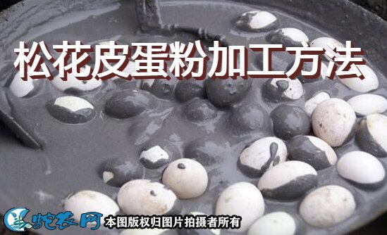 松花皮蛋粉加工方法
