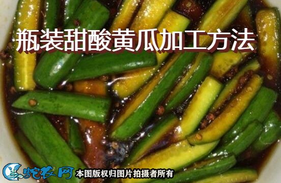 瓶装甜酸黄瓜加工方法