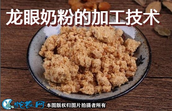 龙眼奶粉的加工技术流程