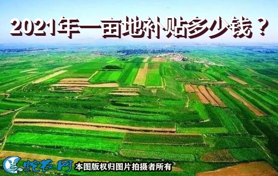 2021年农村土地补贴政策图1
