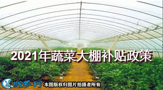 2021年蔬菜大棚补贴政策