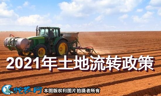 2021年土地经营权流转政策