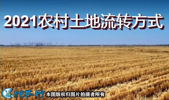 2021年农村土地流转方式?