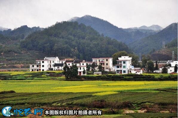 最美乡村图片2