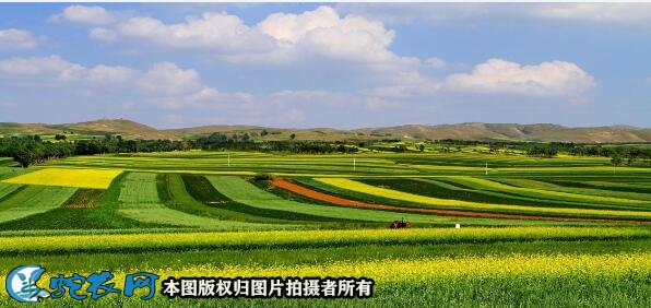 最美乡村图片6