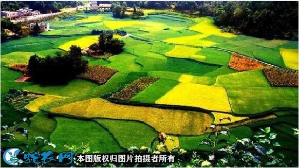 最美乡村图片8