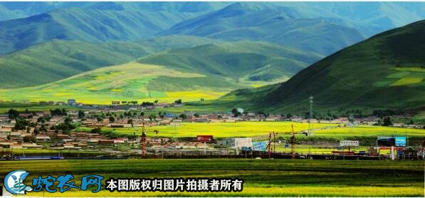 最美乡村图片9